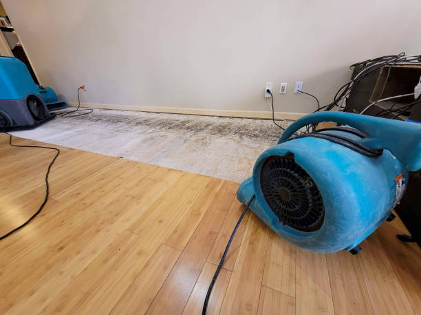 Professional Basement Flood Cleanup technician working in Raleigh, MS